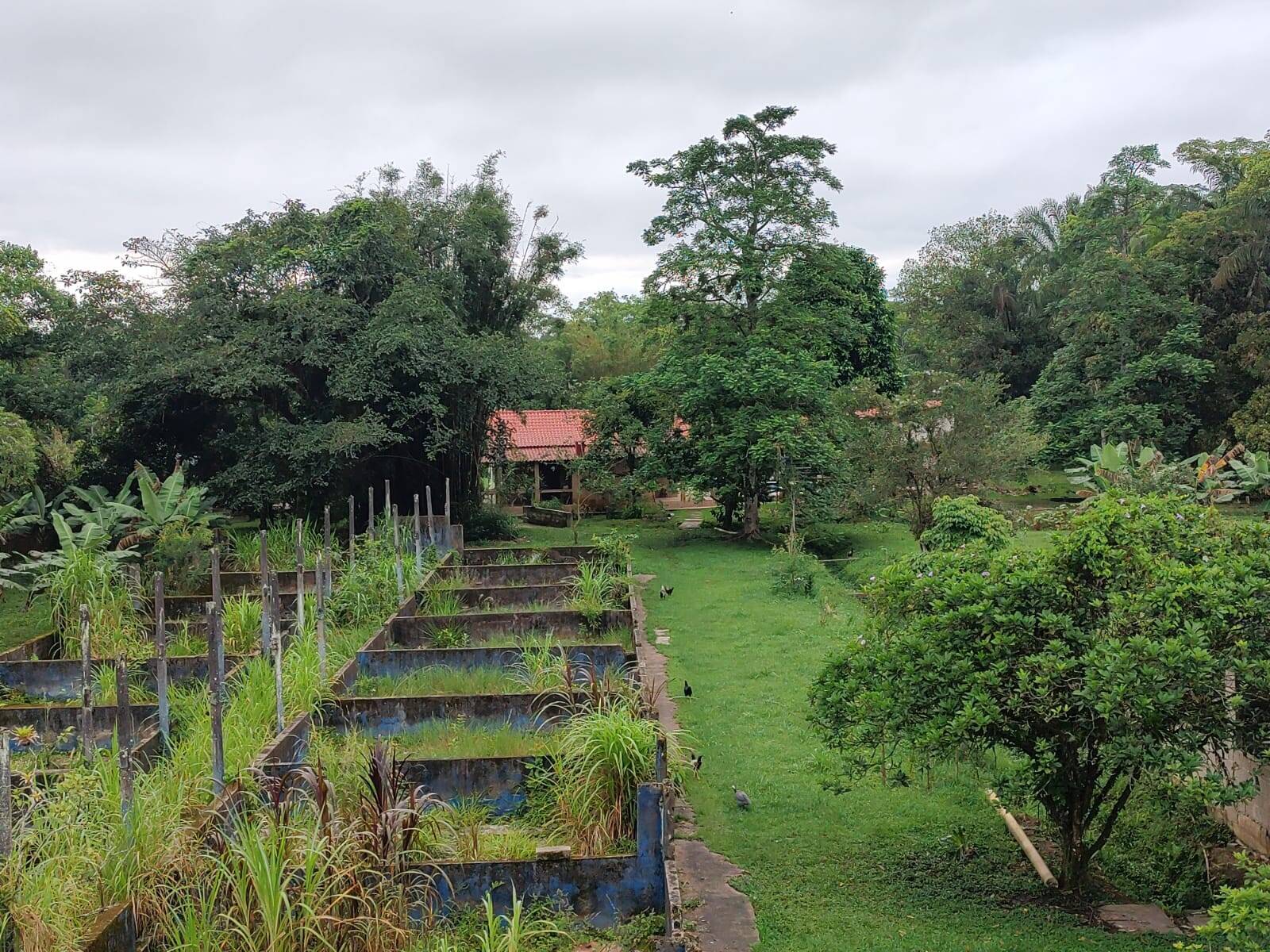 Chácara à venda com 3 quartos, 250m² - Foto 25