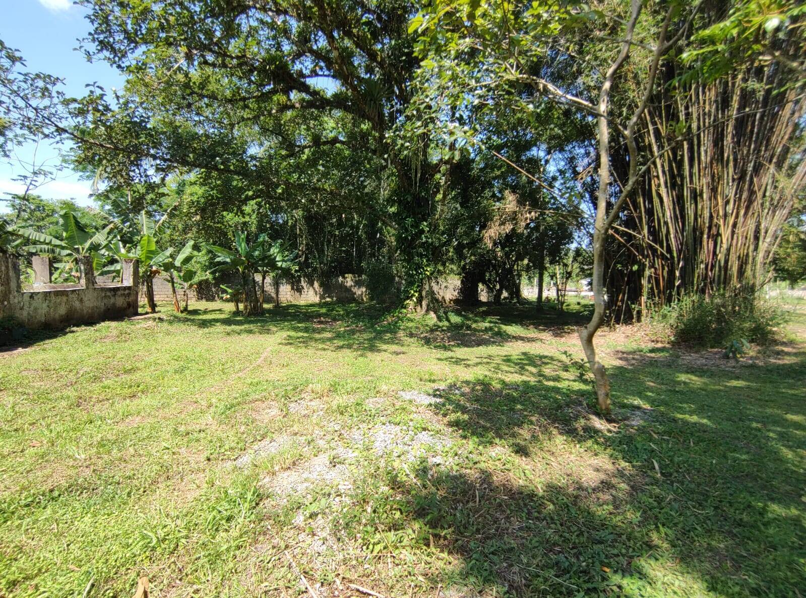 Chácara à venda com 3 quartos, 250m² - Foto 27