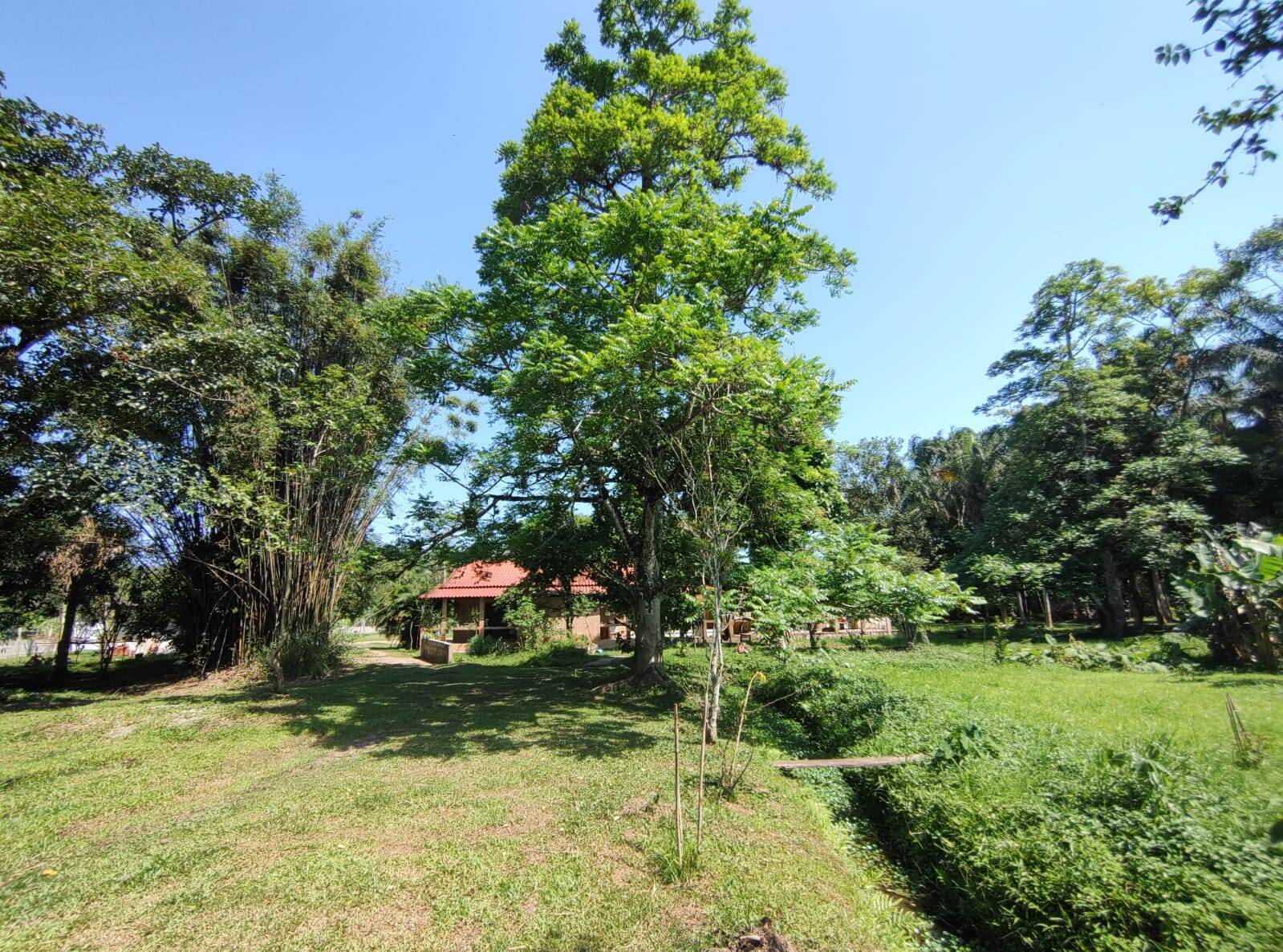 Chácara à venda com 3 quartos, 250m² - Foto 28