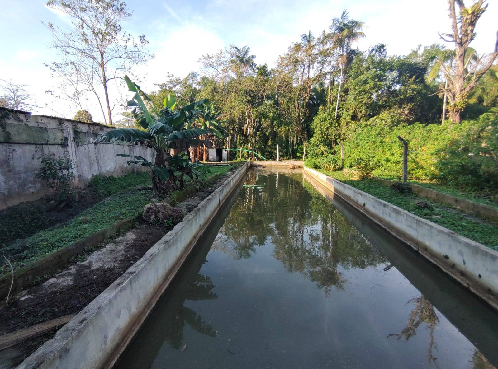 Chácara à venda com 3 quartos, 250m² - Foto 31