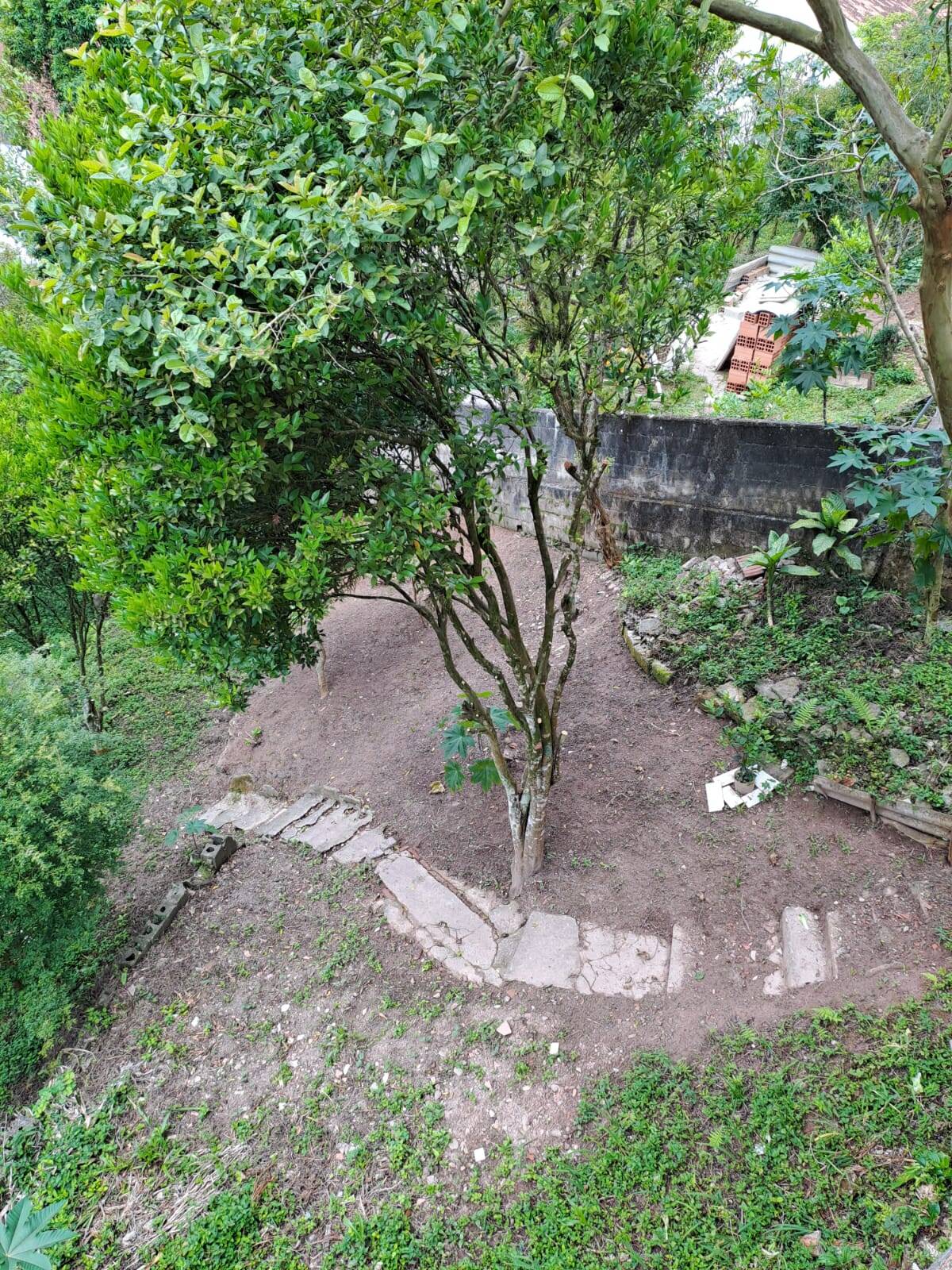 Casa, 3 quartos, 217 m² - Foto 23