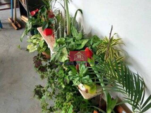 Chácara para Venda em Peruíbe - 4