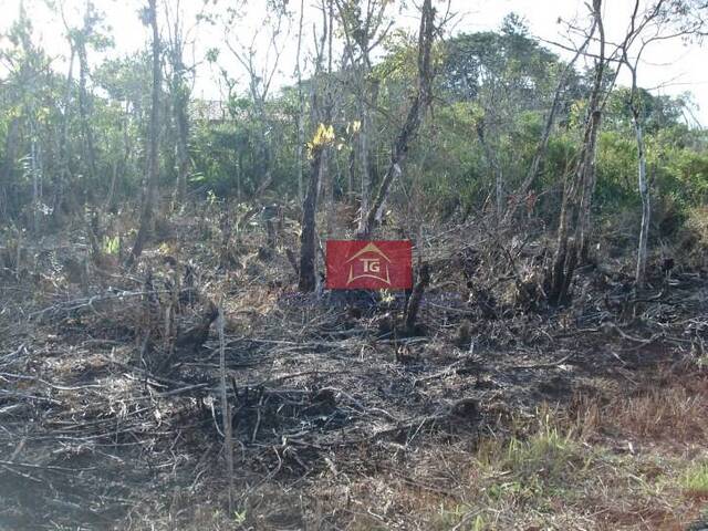 #2043 - Terreno para Venda em Peruíbe - SP